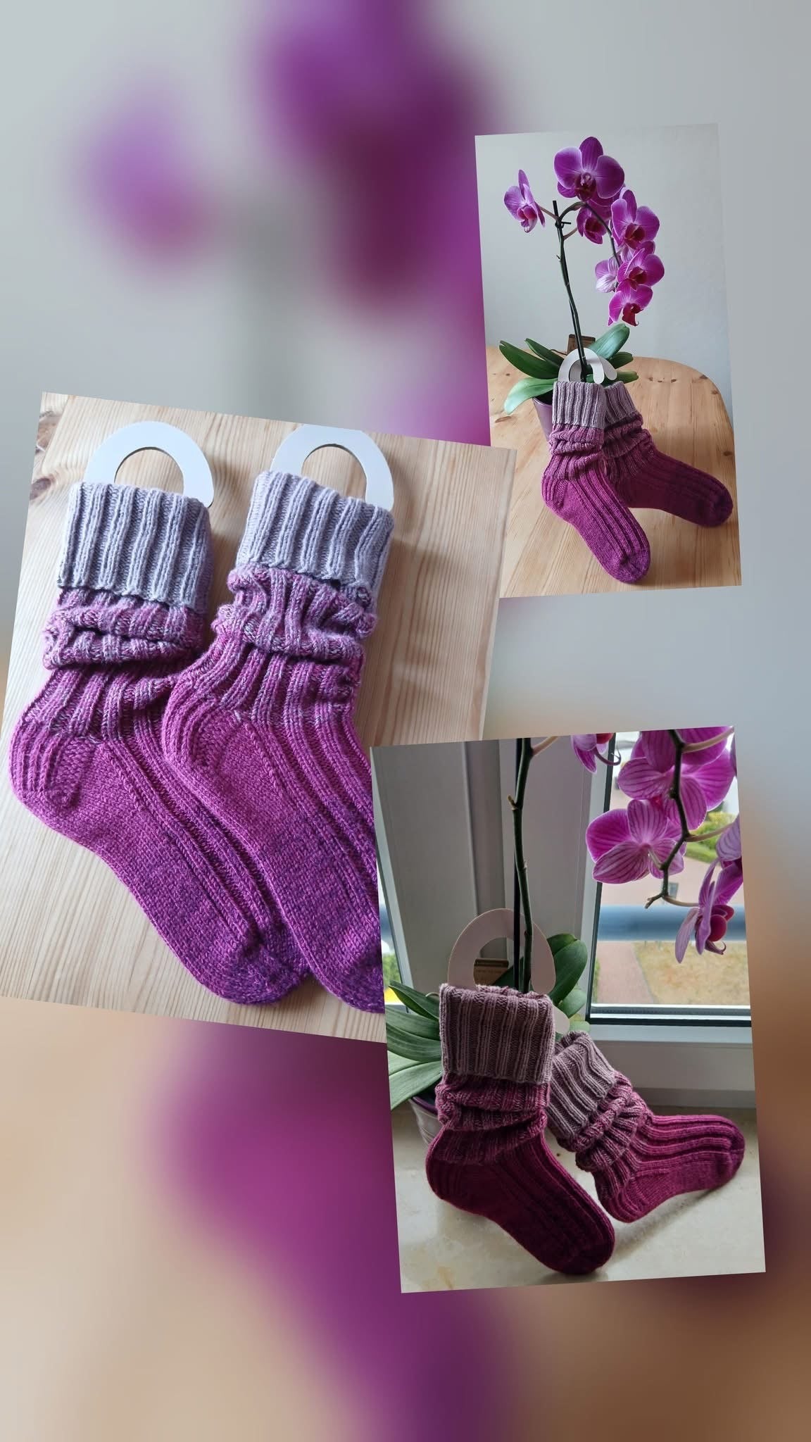 SOXX BOBBEL "BERRY" mit Verlauf